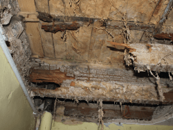 Crawl space Dry Rot Problems