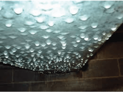 Crawl space umid
